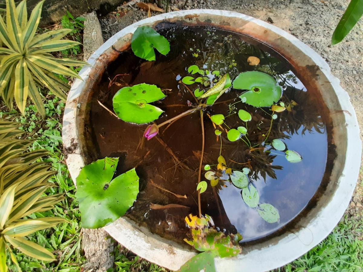 Mass Eco Cabana Yoga & Spa - Unawatuna Ngoại thất bức ảnh
