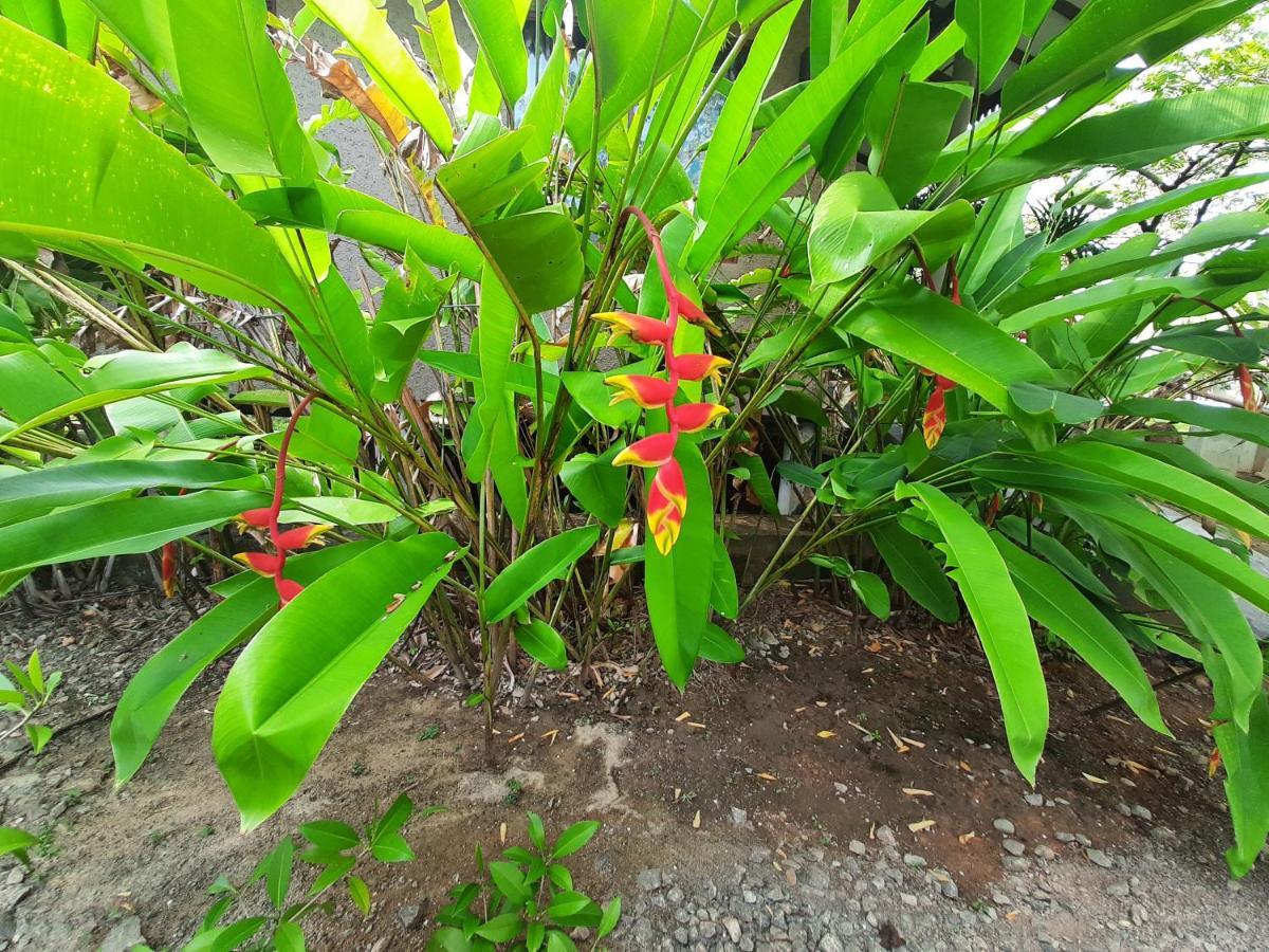 Mass Eco Cabana Yoga & Spa - Unawatuna Ngoại thất bức ảnh